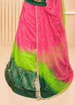 Apsara Organza Rajputi Poshak  - Gajari - Image 2