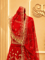 Kajal Semi Pure Rajputi Poshak - Red - Image 3