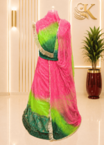 Apsara Organza Rajputi Poshak  - Gajari