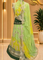 Avni Semi Pure Rajputi Poshak
- Green
