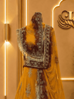 Piliya Semi Pure Rajputi Poshak 4 - Image 3