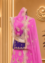 Avni Semi Pure Rajputi Poshak
- Pink - Image 3