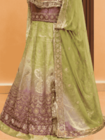 Saheli  Glass Organza Rajputi Poshak- Shaded 3 - Image 2