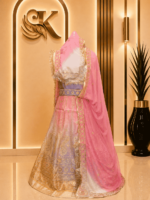 Saheli  Glass Organza Rajputi Poshak- Shaded 5