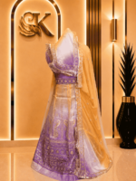 Saheli  Glass Organza Rajputi Poshak- Shaded 2