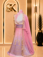 Saheli  Glass Organza Rajputi Poshak- Shaded 6