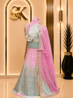Saheli  Glass Organza Rajputi Poshak- Shaded 7