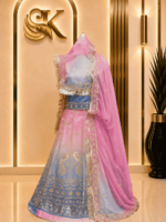 Saheli  Glass Organza Rajputi Poshak- Shaded 8